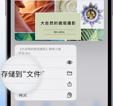 藤县apple维修中心分享iPhone文件应用中存储和找到下载文件