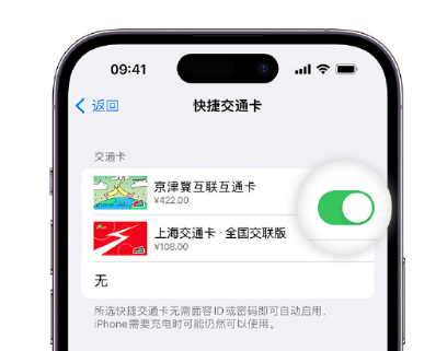 藤县apple维修点分享iPhone上更换Apple Pay快捷交通卡手绘卡面 