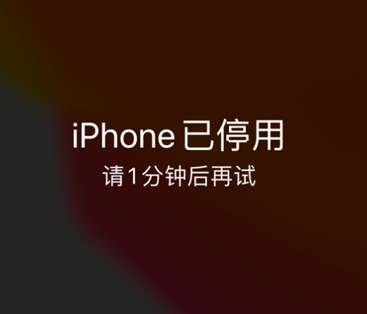 藤县苹果手机维修分享:iPhone 显示“不可用”或“已停用”怎么办？还能保留数据吗？ 