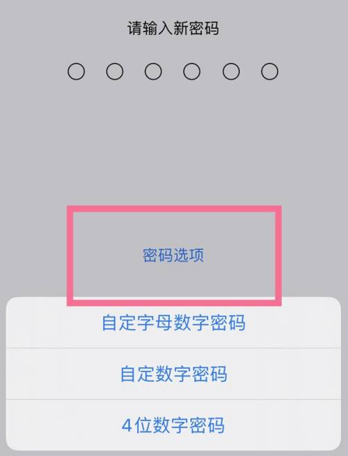 藤县苹果14维修分享iPhone 14plus设置密码的方法 