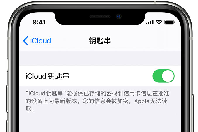 藤县苹果手机维修分享在 iPhone 上开启 iCloud 钥匙串之后会储存哪些信息 